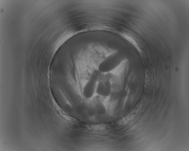 X0000089671047200707121219