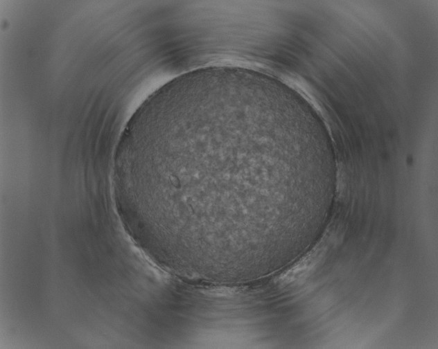 X0000089671048200707121219