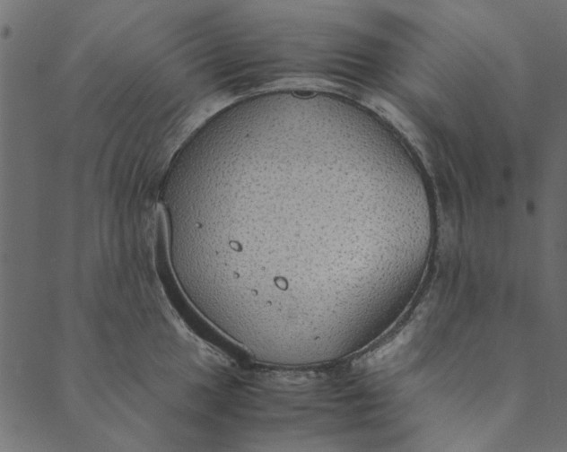 X0000089671049200707121219