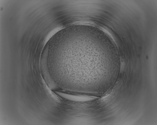 X0000089671050200707121219