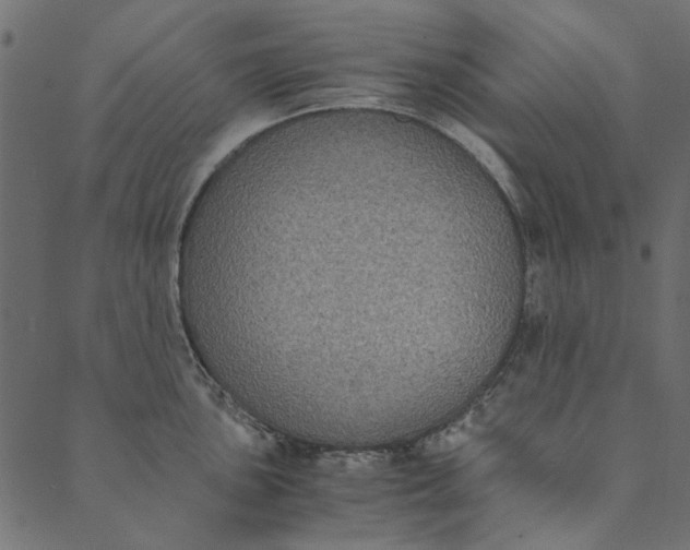 X0000089671051200707121219