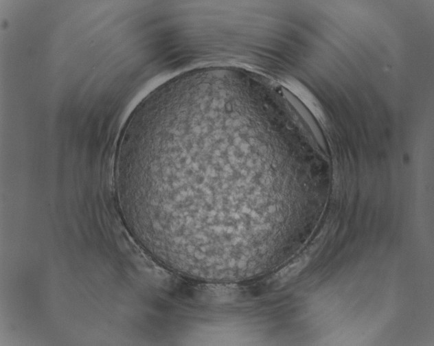 X0000089671052200707121219