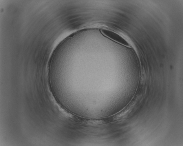 X0000089671053200707121219