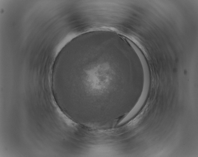 X0000089671054200707121219