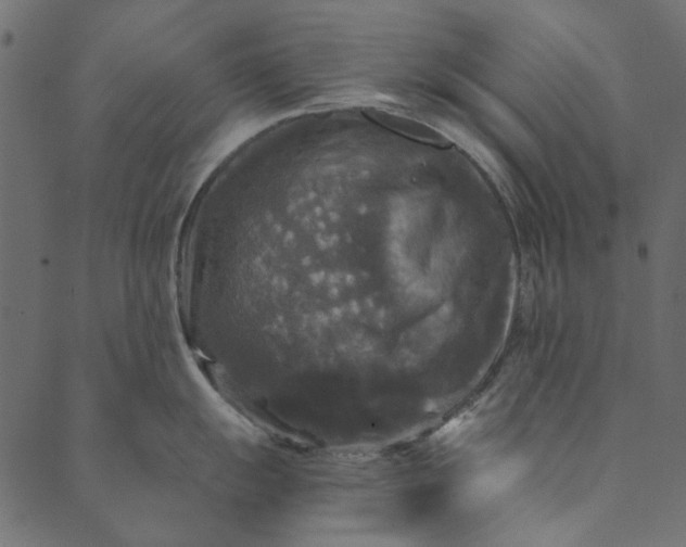 X0000089671055200707121219