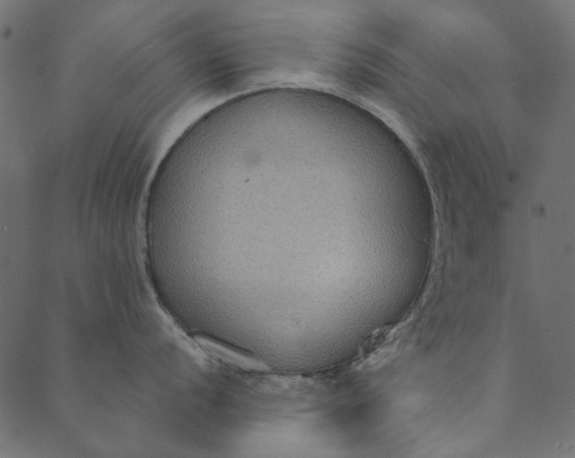 X0000089671056200707121219