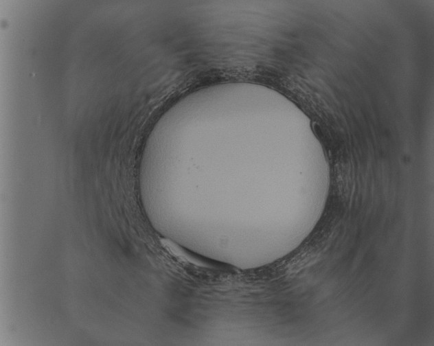 X0000089671057200707121218