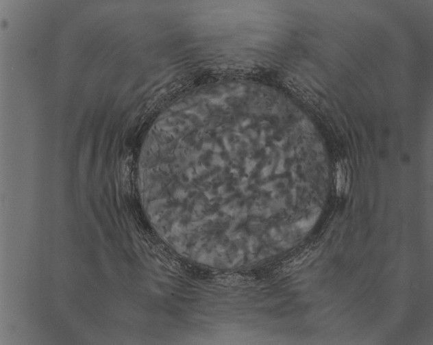 X0000089671059200707121218