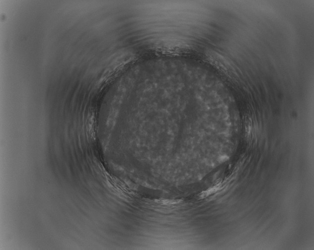 X0000089671060200707121218