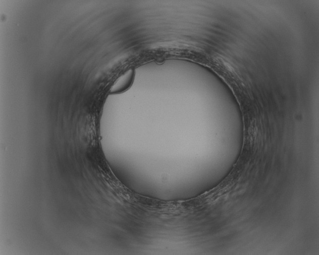 X0000089671062200707121218