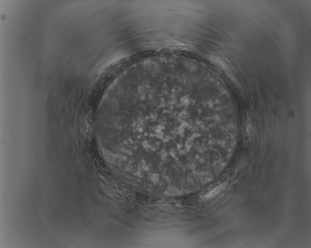 X0000089671063200707121218