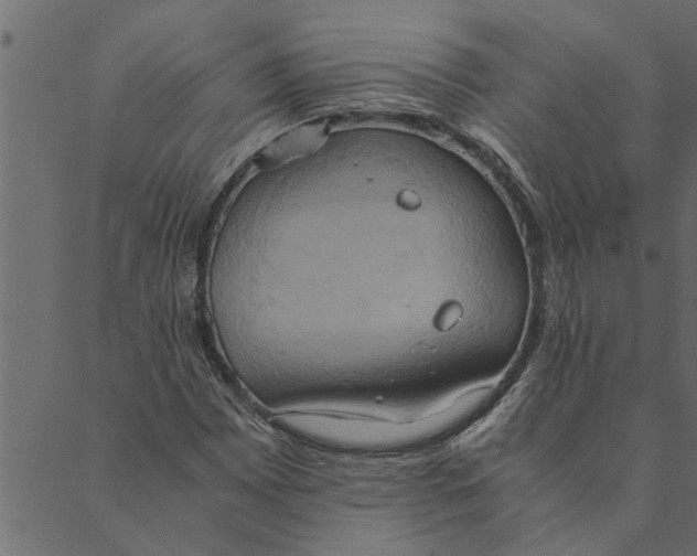 X0000089671065200707121218