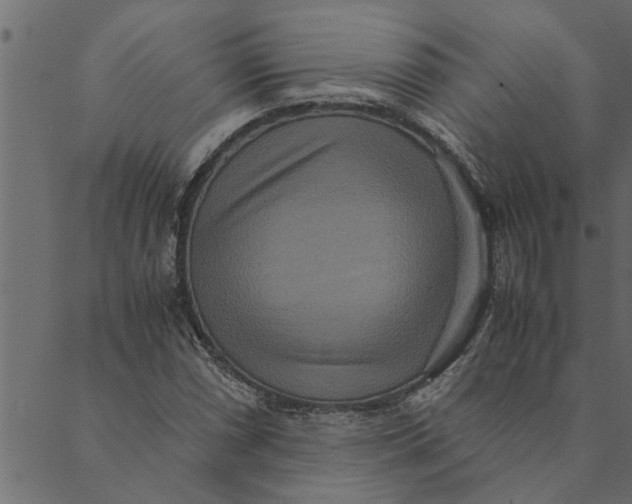 X0000089671066200707121218