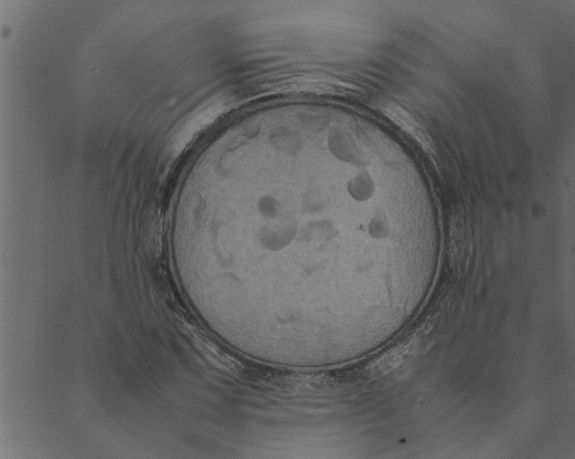 X0000089671067200707121218