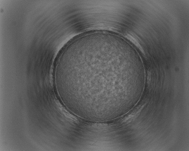 X0000089671068200707121218