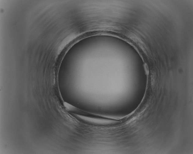 X0000089671069200707121218