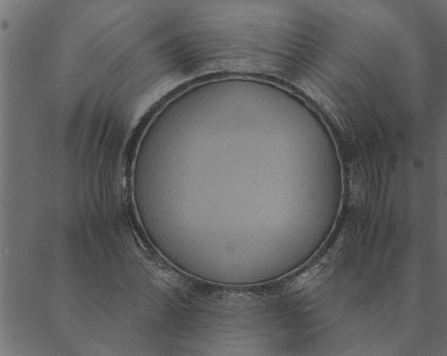 X0000089671070200707121218