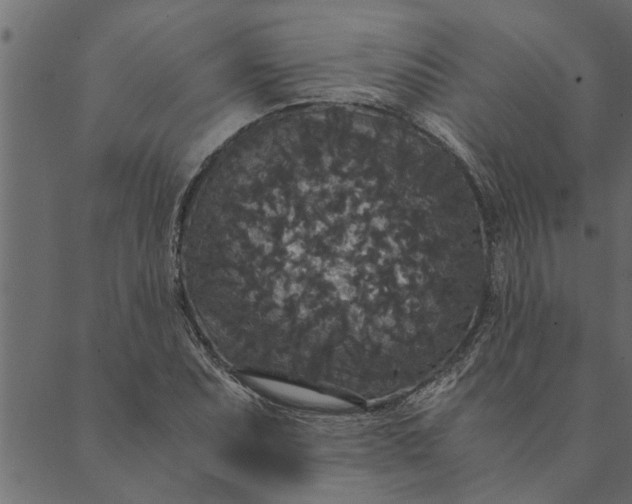 X0000089671071200707121218