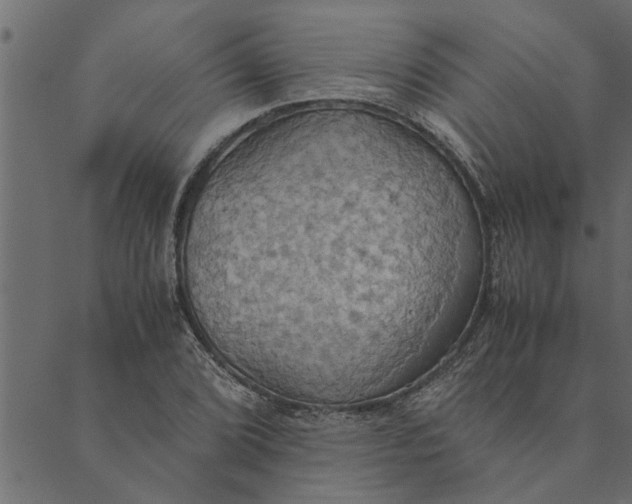 X0000089671072200707121218