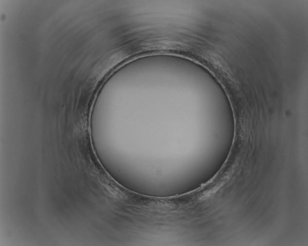 X0000089671073200707121218