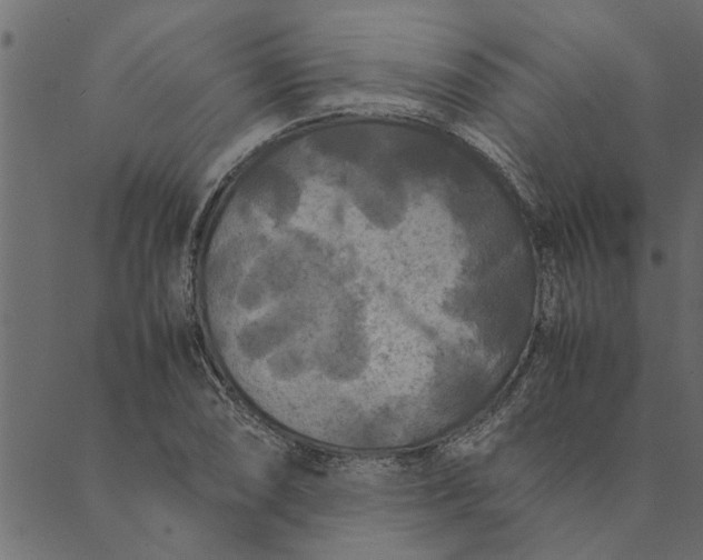 X0000089671074200707121218