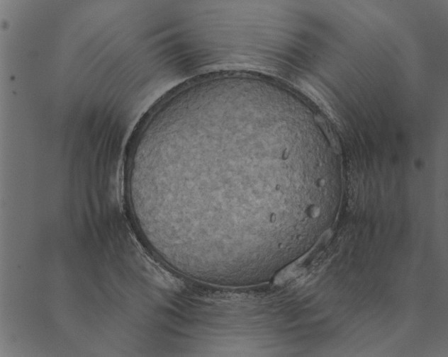 X0000089671076200707121218