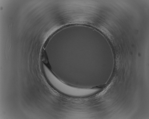 X0000089671077200707121218