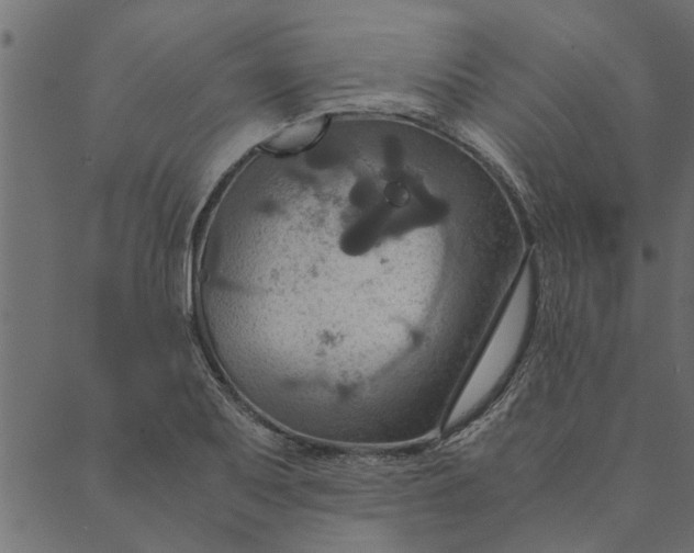 X0000089671079200707121218