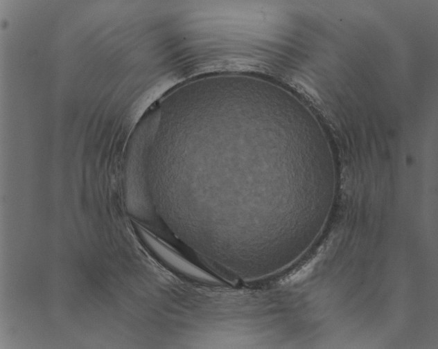 X0000089671081200707121218