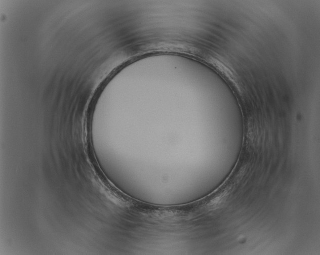 X0000089671082200707121218