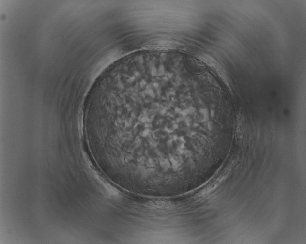 X0000089671083200707121218