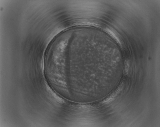 X0000089671084200707121218