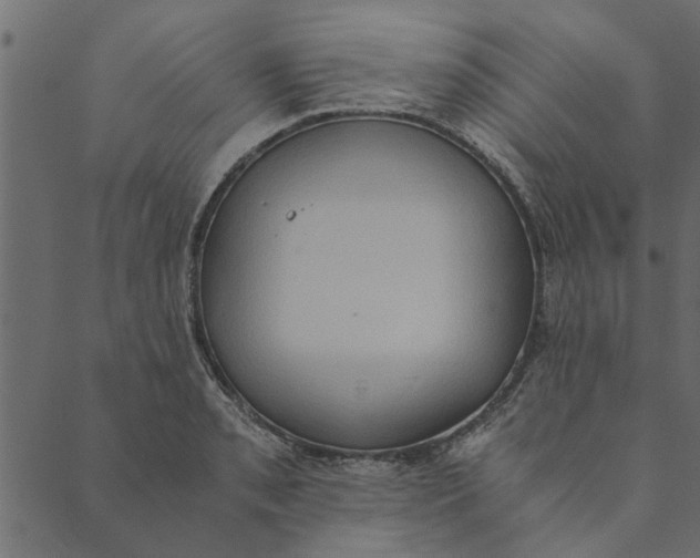 X0000089671085200707121218