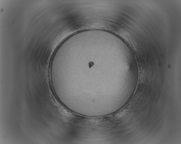 X0000089671086200707121218