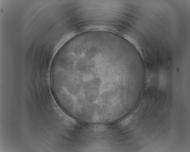 X0000089671090200707121218