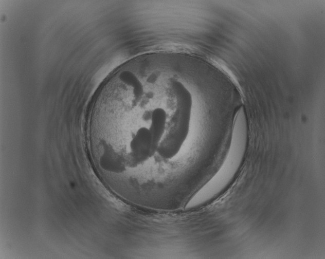 X0000089671091200707121218