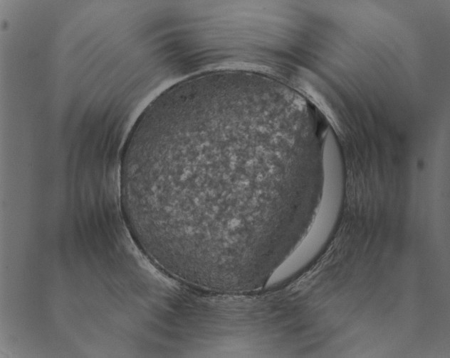 X0000089671092200707121218