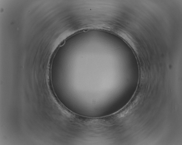 X0000089671093200707121218