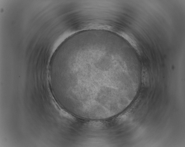 X0000089671094200707121218