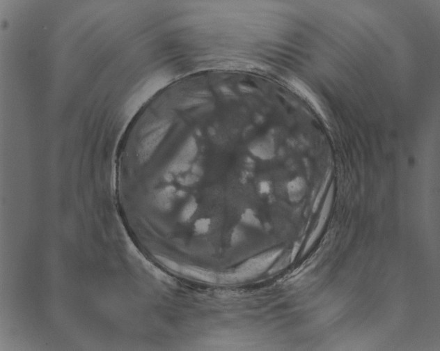 X0000089671095200707121218