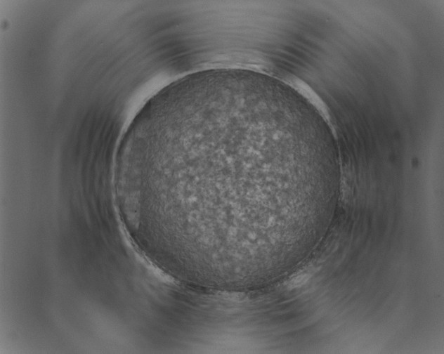 X0000089671096200707121218