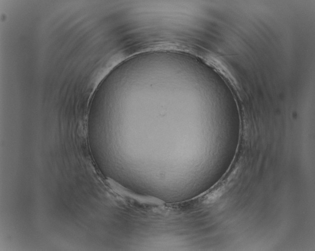 X0000089671097200707121218