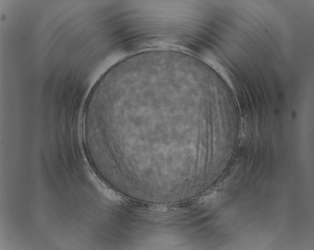 X0000089671098200707121218