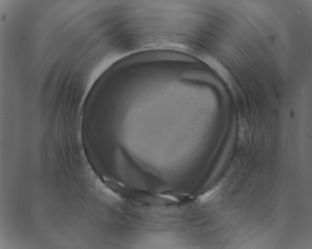 X0000089671102200707121217