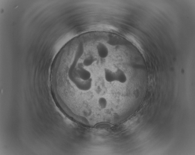 X0000089671103200707121217