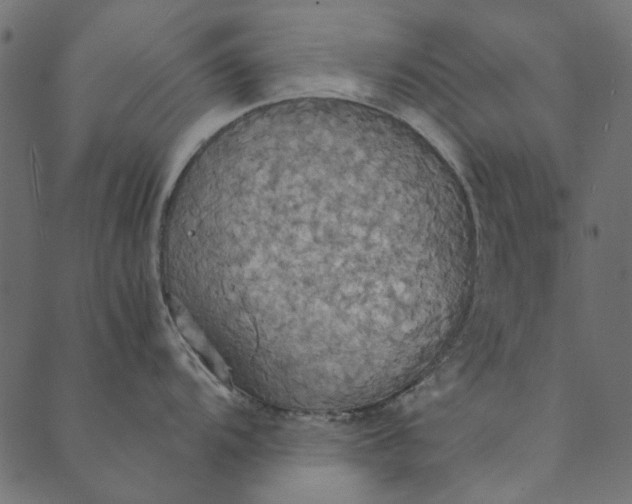 X0000089671104200707121217