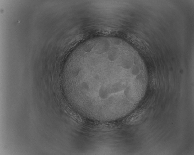 X0000089671105200707121217