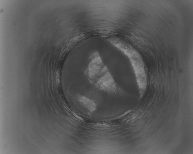 X0000089671106200707121217