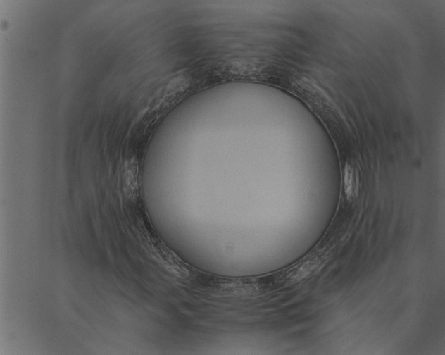 X0000089671107200707121217