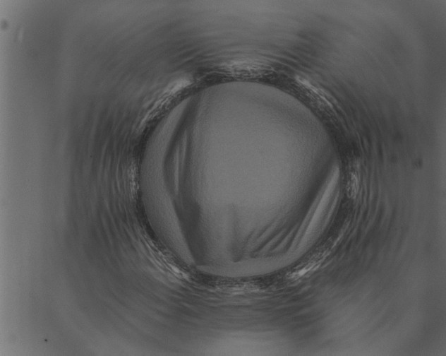 X0000089671108200707121217